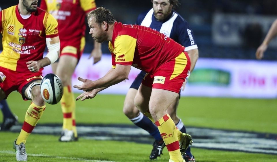 Gert Muller of Perpignan during the Pro D2 match between SU Agen and Usap Perpignan on November 17, 2016 in Agen, France. (Photo by Manuel Blondeau/Icon Sport)