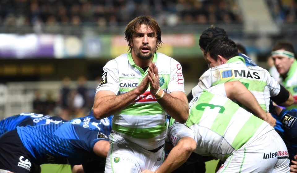 Julien Pierre - 20.02.2016 - Montpellier Herault Rugby / Section Paloise - 15e journee de Top 14