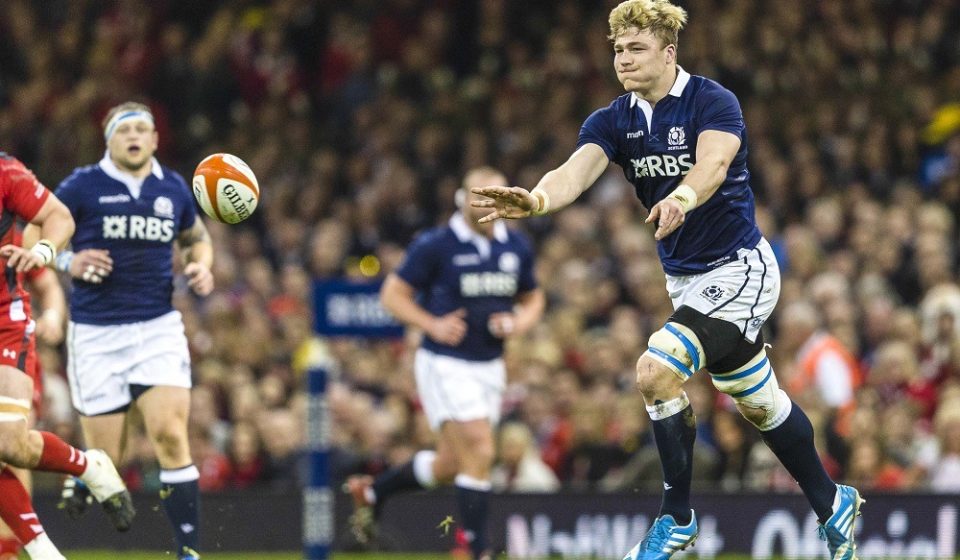 David DENTON - 15.03.2014 - Pays de Galles / Ecosse  - Tournoi des 6 Nations 2014